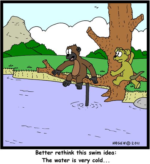 'Better rethink this swim idea: The water is very cold...'