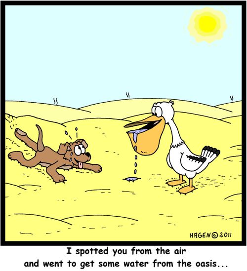 'I spotted you from the air and went to get some water from the oasis...'