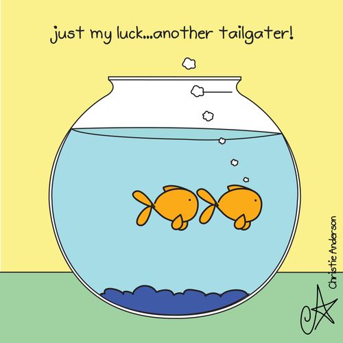 'Just my luck, another tailgater' 