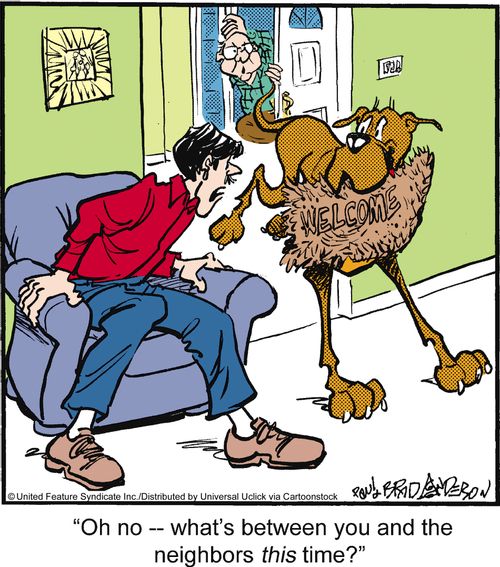 'Oh no - what's between you and the neighbors this time?'
