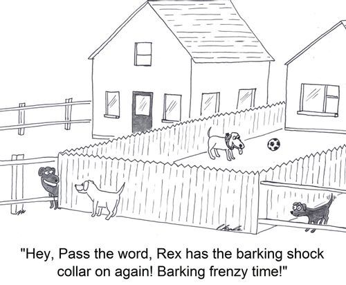 'Hey, pass the word, Rex has the barking shock collar on again! Barking frenzy time!' 