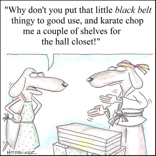'Why don't you put that little black belt thingy to good use, and karate chop me a couple of shelves for the hall closet!'