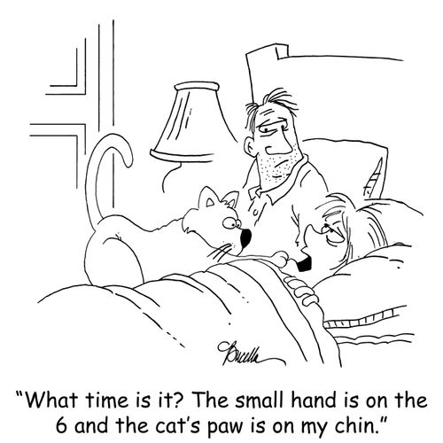 'What time is it? The small hand is on the 6 and the cat's paw is on my chin.'