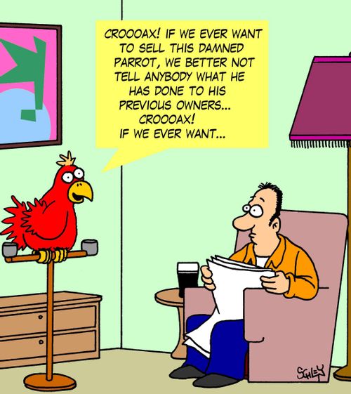 'CROOOAX! If we ever want to sell this damned parrot, we better not anybody what he has done to his previous owners... CROOOAX! If we ever want...'