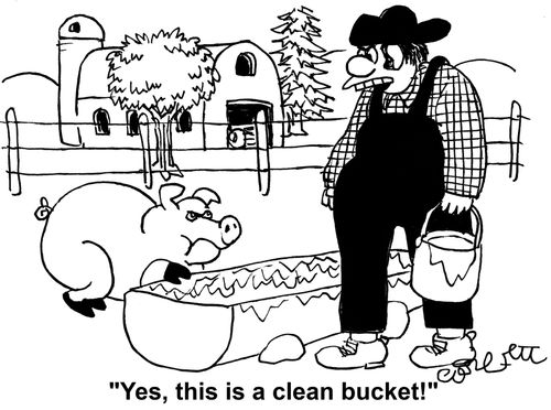 'Yes, this is a clean bucket!'