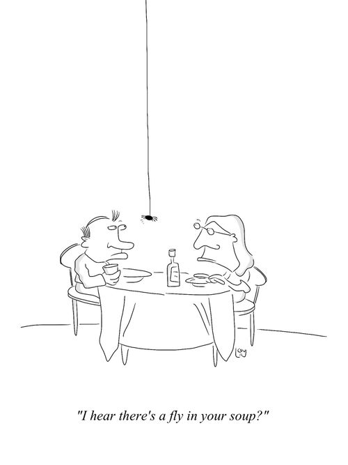 'I hear there's a fly in your soup?'