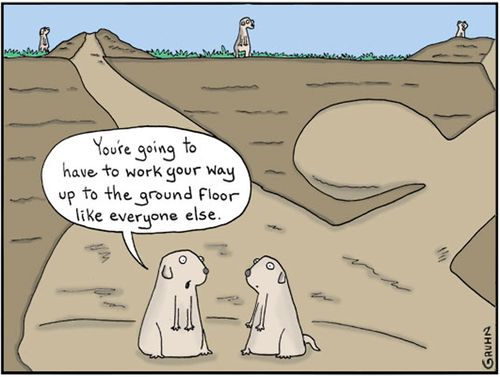 'You're going to have to work your way up to the ground floor like everyone else.'