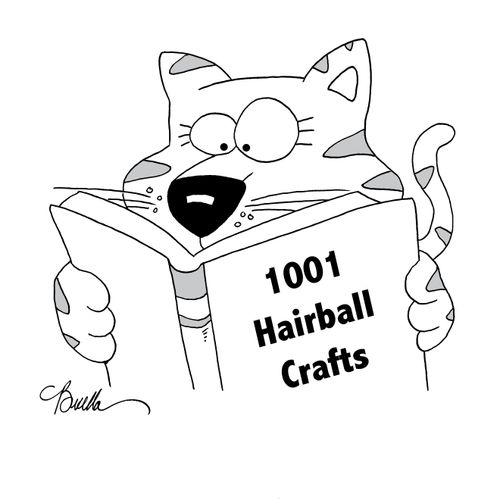 1001 Hairball Crafts
