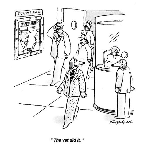 'The vet did it.'