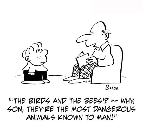 ''The birds and the bees'? — Why, son, they're the most dangerous animals known to man!'