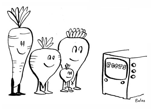 Vegetables watch 'Roots' TV show.