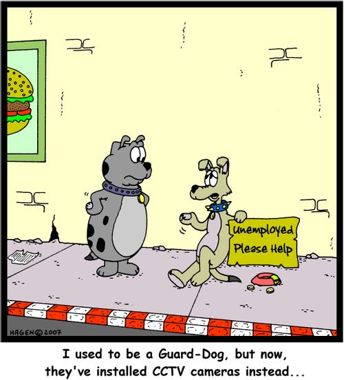 'I used to be a Guard-Dog, but now, they've installed CCTV cameras instead...'