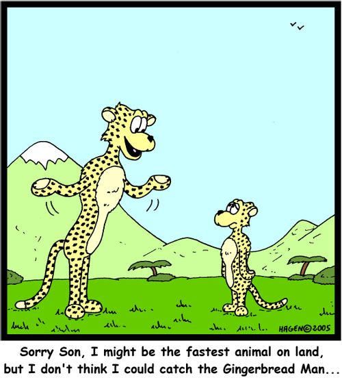 'Sorry Son, I might be the fastest animal on land, but I don't think I could catch the Gingerbread Man...'
