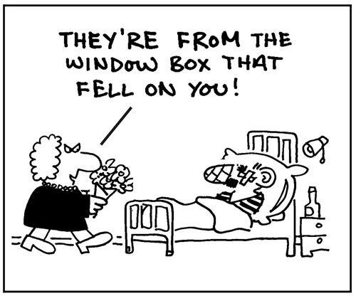 They're from the window box that fell on you.