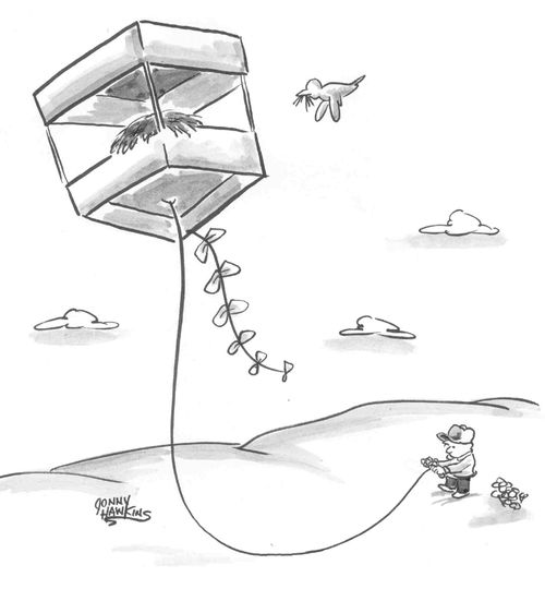 Boy flying boxed kite with bird's nest in it.