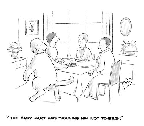 'The easy part was training him not to beg.'