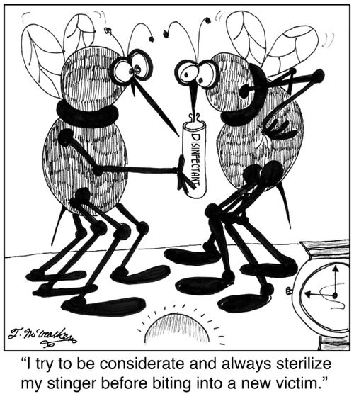 'I try to be considerate and always sterilize my stinger before biting into a new victim.'