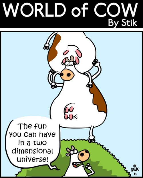 'The fun you can have in a 2 dimensional universe!'