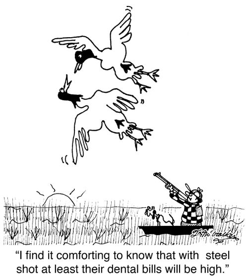 'I find it comforting to know that with steel shot at least their dental bills will be high.'