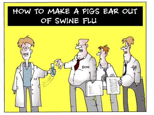 How To Make A Pigs Ear Out Of Swine Flu.