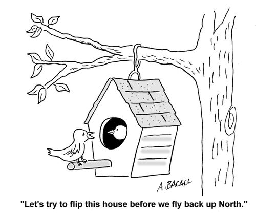 Let's try to flip this house before we fly back up North.