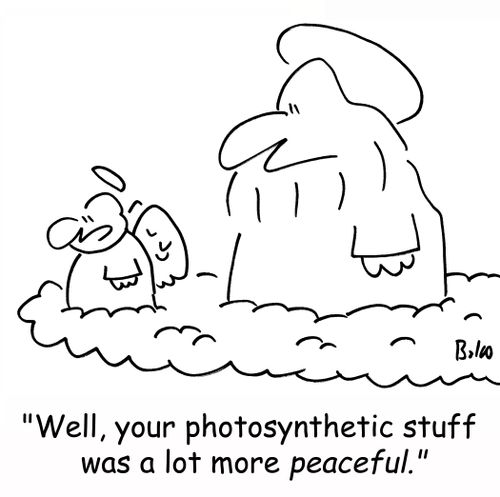 'Well, your photosynthetic stuff was a lot more peaceful.'