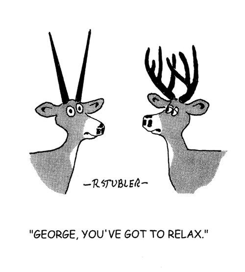 'George,you've got to relax.'