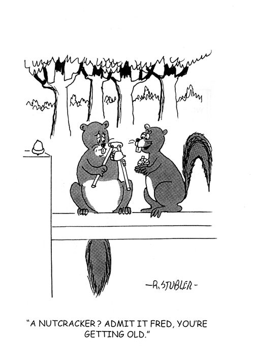 'A nutcracker? Admit it, Fred, you're getting old.'