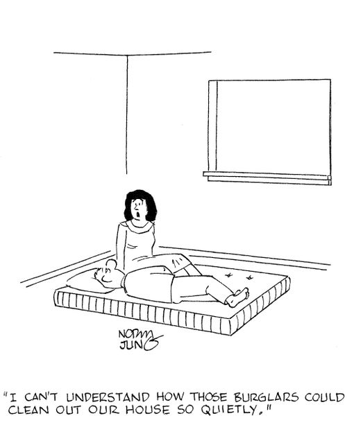 'I can't understand how those burglars could clean out our house so quietly.'