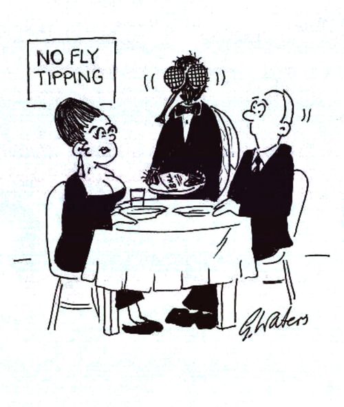 No fly tipping.
