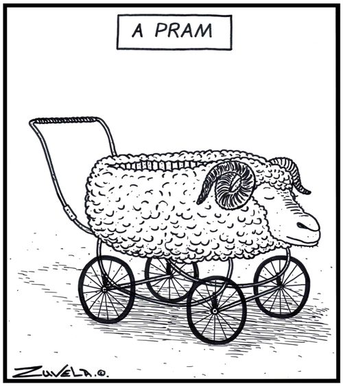 A (P)ram.