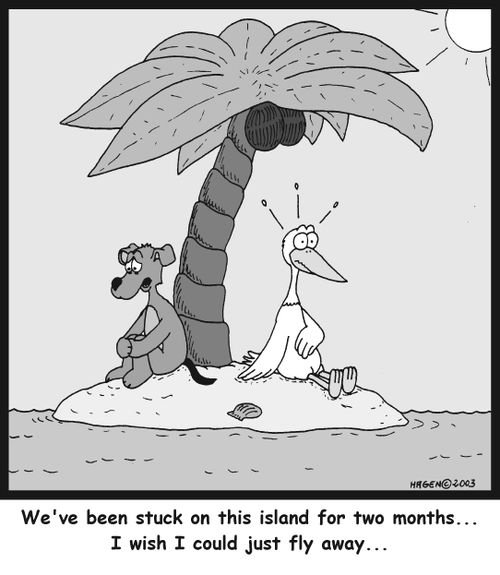 'We've been stuck on this island for two months... I wish I could just fly away...'