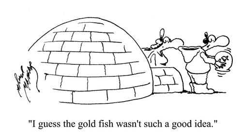 'I guess the gold fish wasn't such a good idea.'