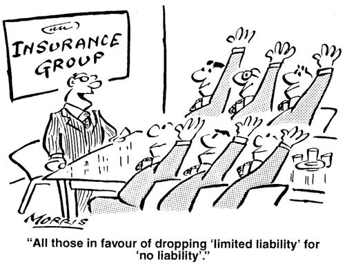 'All those in favour of dropping 'limited liability' for 'no liability'.'