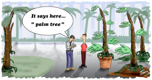 "It says here...'palm tree'." (landscape)