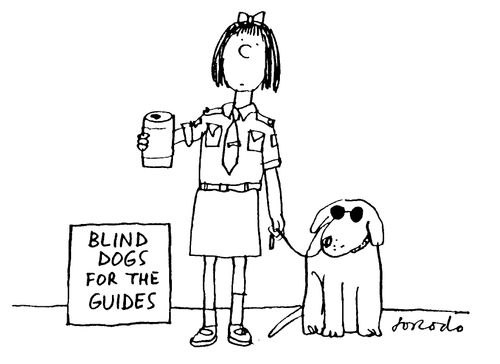 Blind dogs for the guides