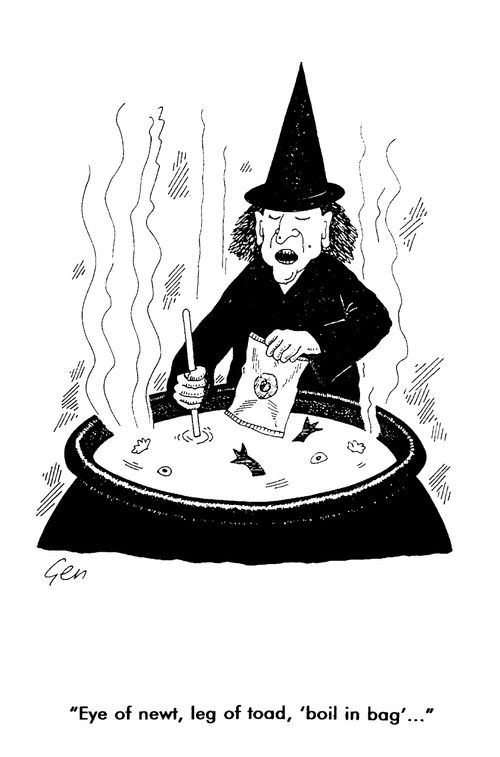 Witch and cauldron, "Eye of newt, Leg of toad,boil in bag"