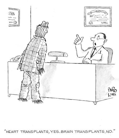 'Heart transplants, yes. Brain transplants, no.'