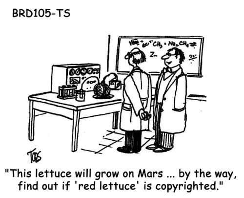 'This lettuce will grow on Mars...by the way, find out if 'red lettuce' is copyrighted.'