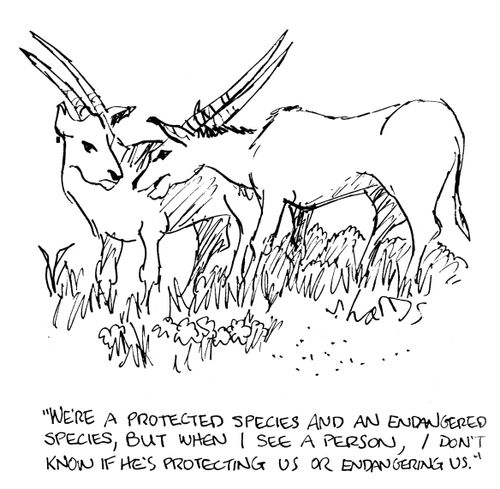 'We're a protected species and an endangered species, but when I see a person, I don't know if he's protecting us or endangering us.'