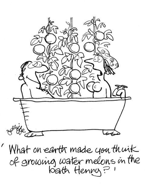 'What on earth made you think of growing water melons in the bath Henry?'