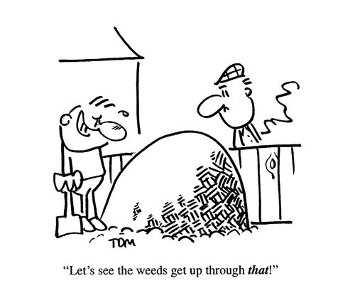 'Let's see the weeds get up through that!'