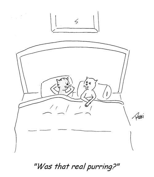 'Was that real purring?'