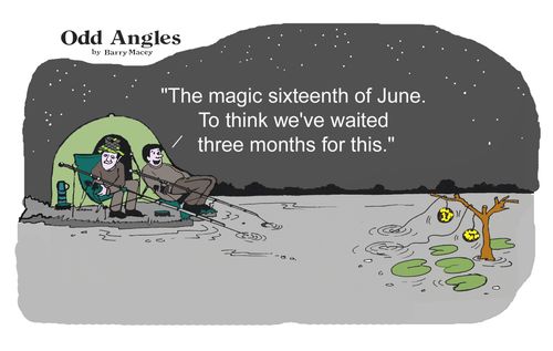 Odd Angles,a monthly strip on coarse angling.