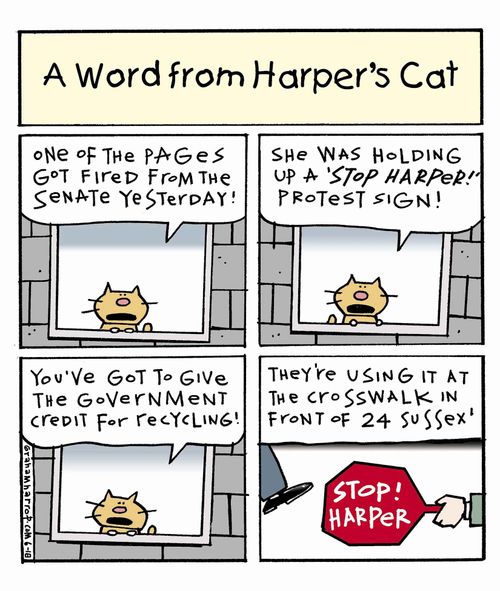 A word from Stephen Harper's cat.