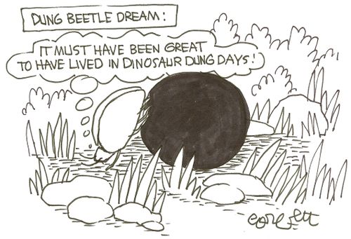 Dung beetle dream: 'It must have been great to have lived in dinosaur dung days!' 