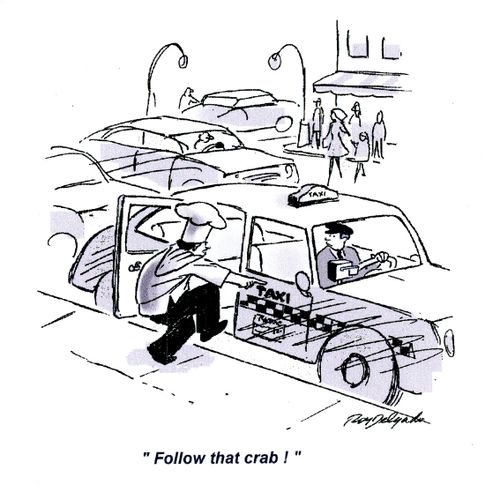 'Follow that crab!'