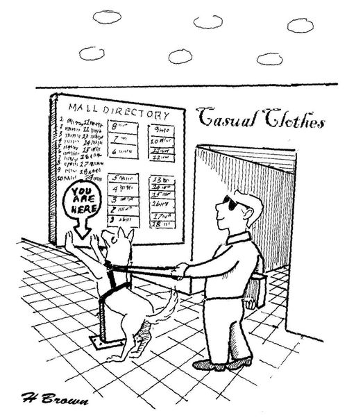 Lost Guide Dog.