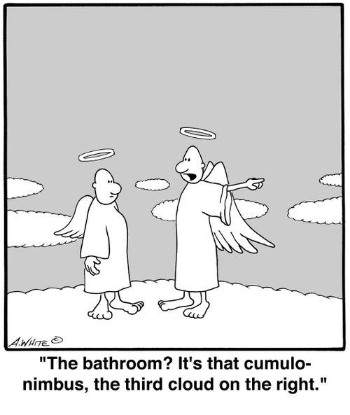'The bathroom? It's that cumulonimbus, the third cloud on the right.'