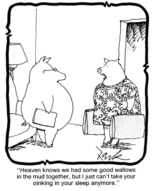 'Heaven knows we had some good wallows in the mud together, but I just can't take your oinking in your sleep anymore.'
